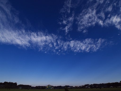 秋空・・・