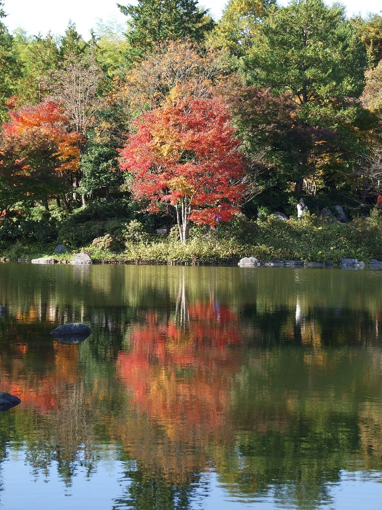 逆さ紅葉