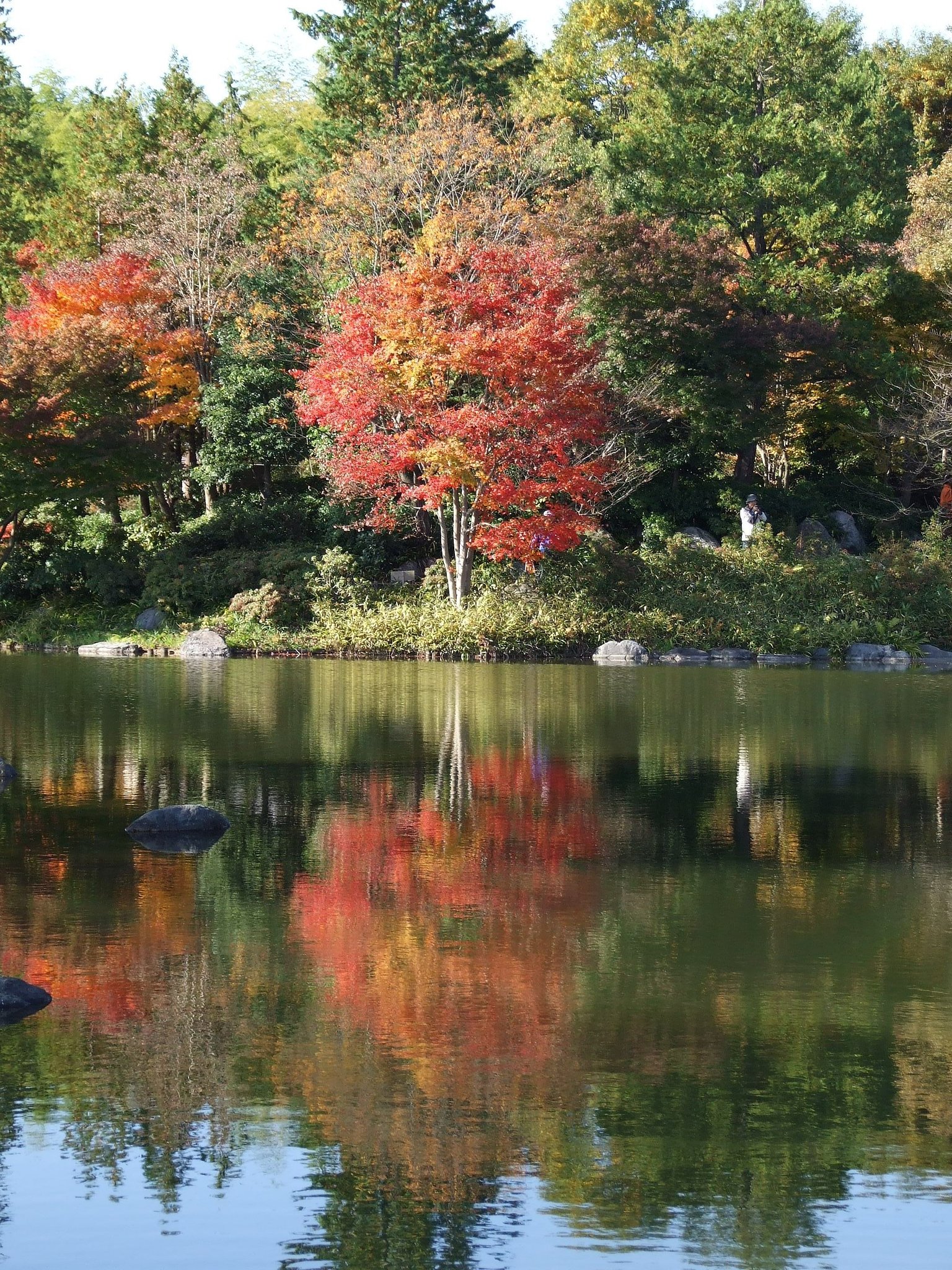 逆さ紅葉