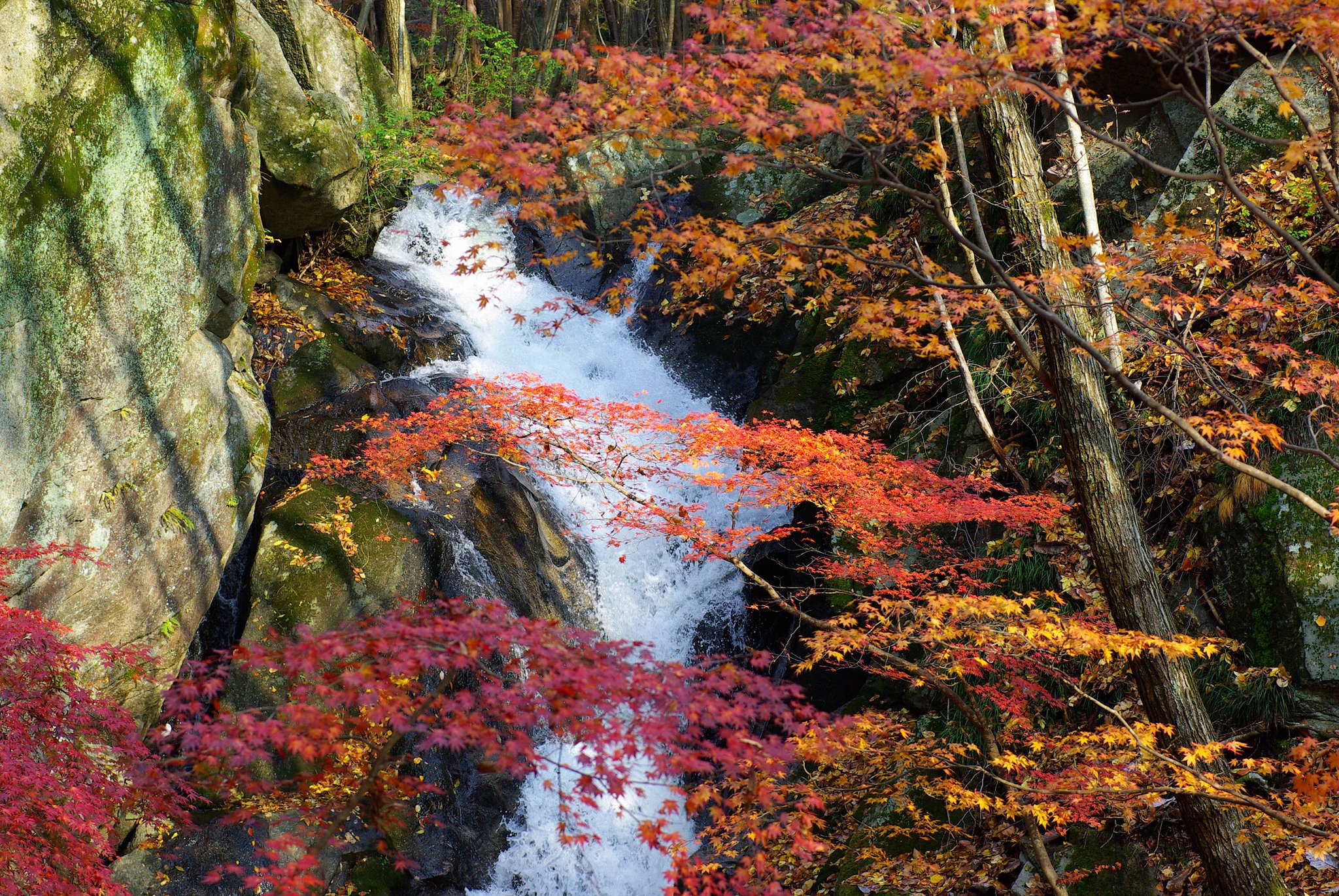 峡谷の奔流