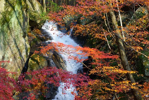 峡谷の奔流