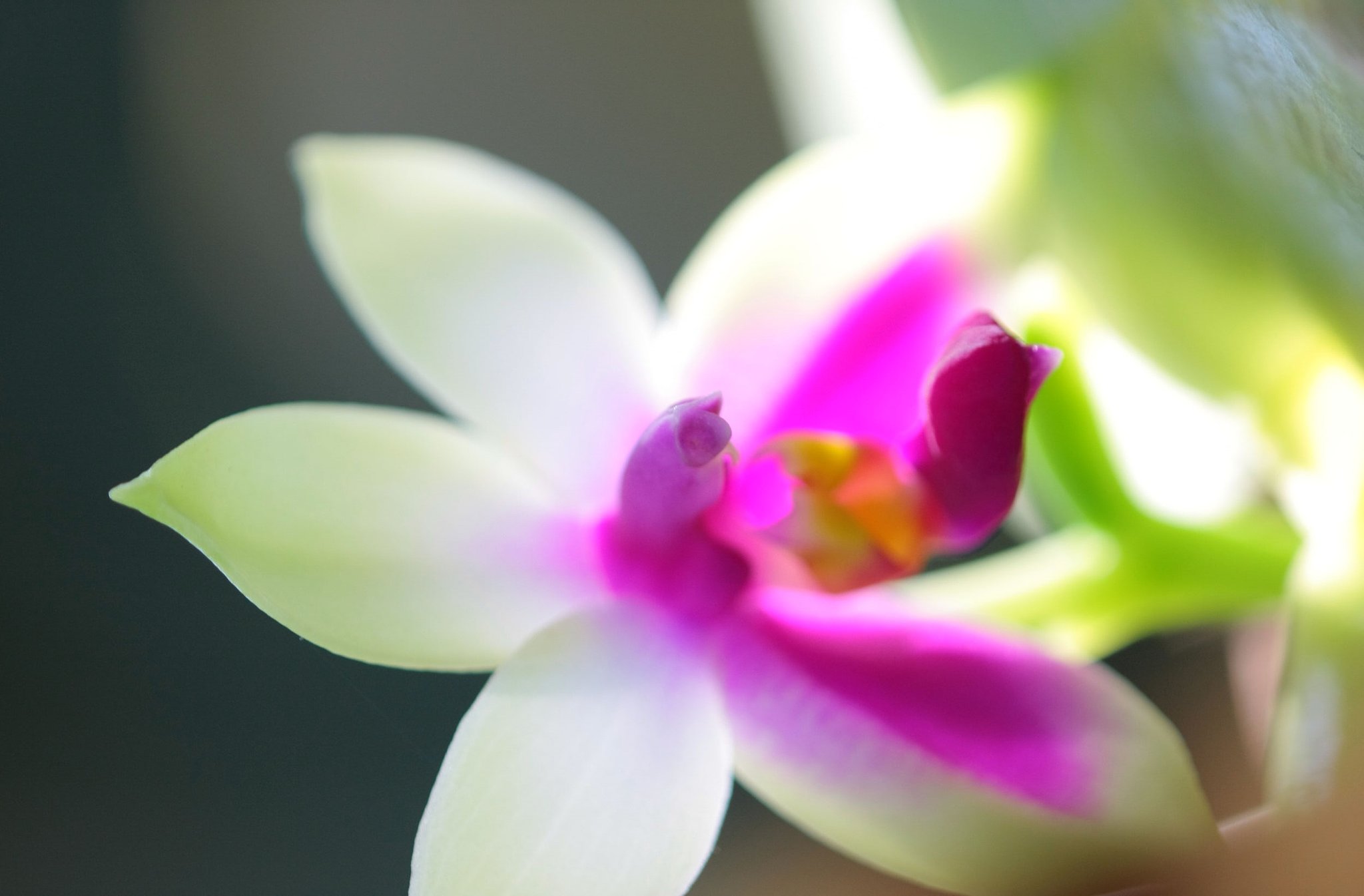 光る・・・