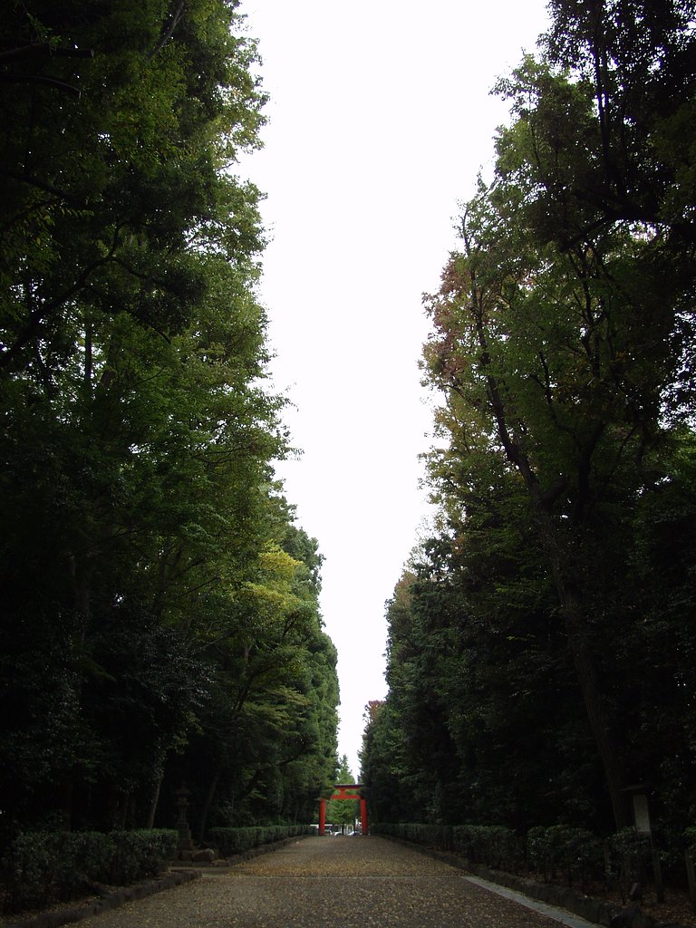 鳥居と参道