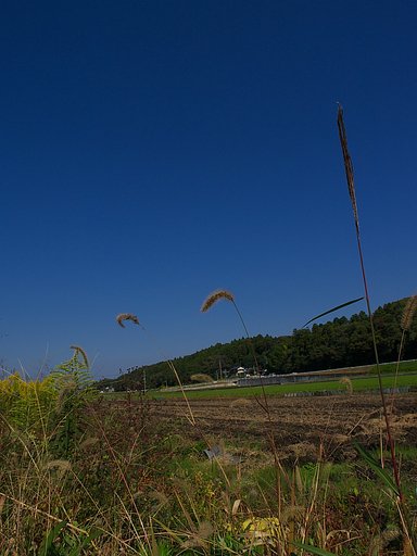 快晴