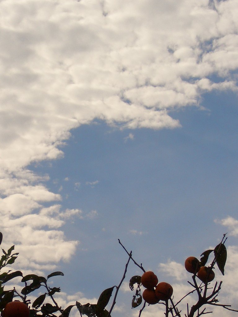 僅かな青空