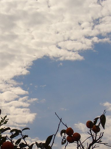 僅かな青空