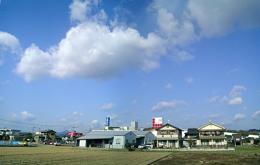 晴れました(定点観測)