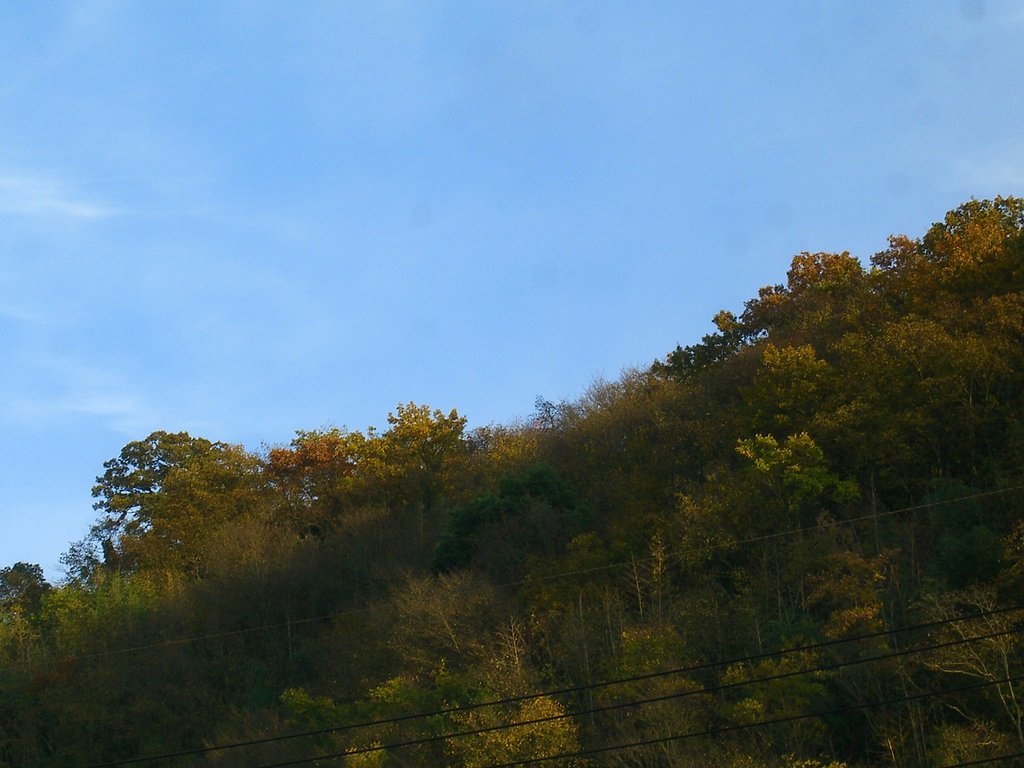 晩秋