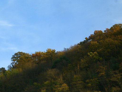 晩秋