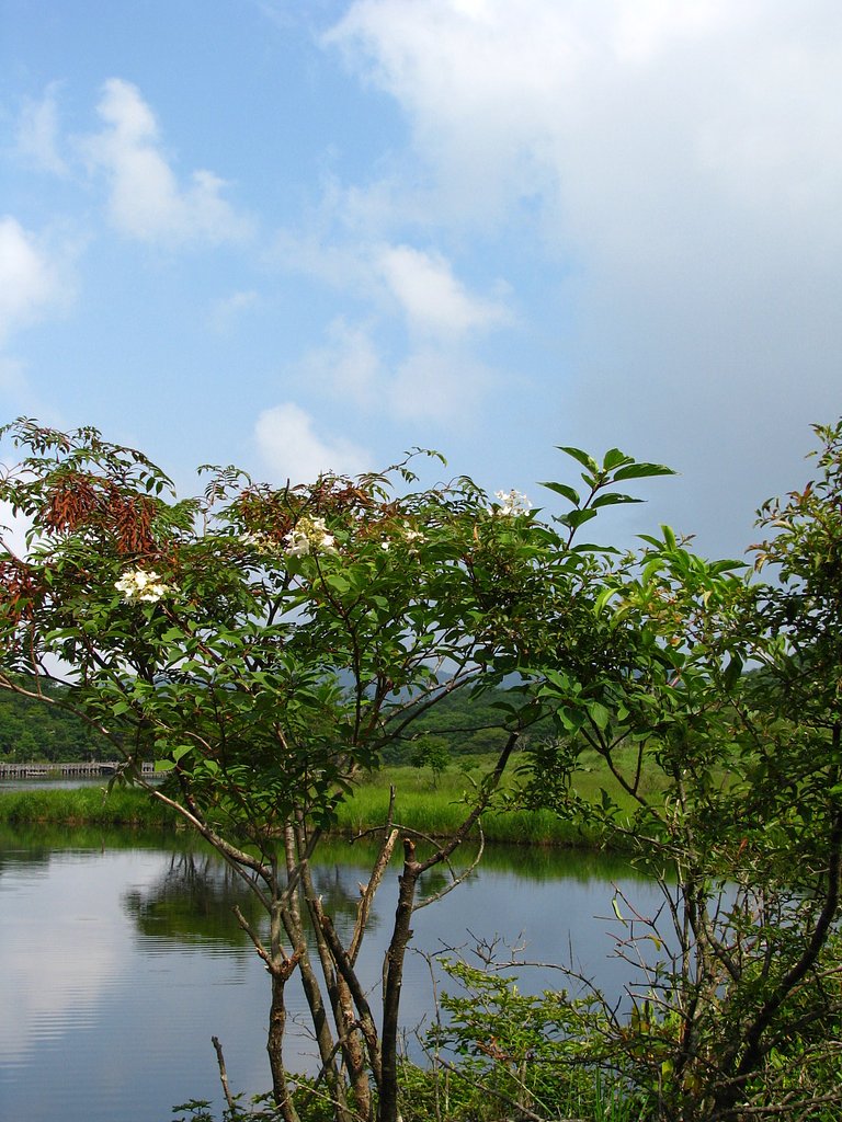 夏の風景