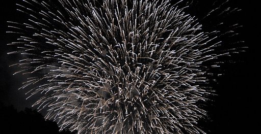 夏の夜の花