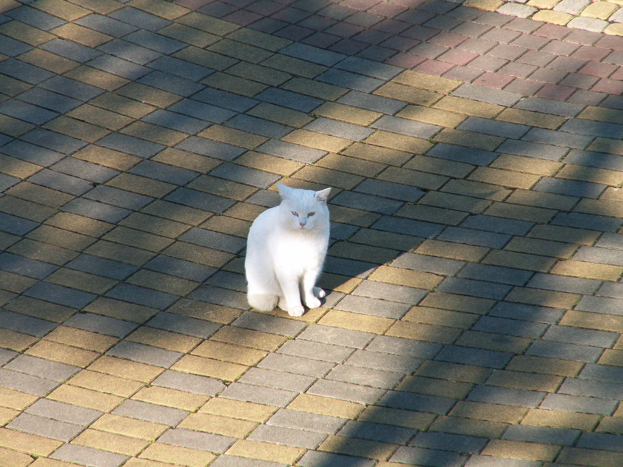 まなざし。