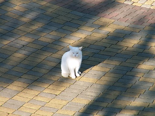 まなざし。