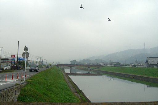 小雨の朝