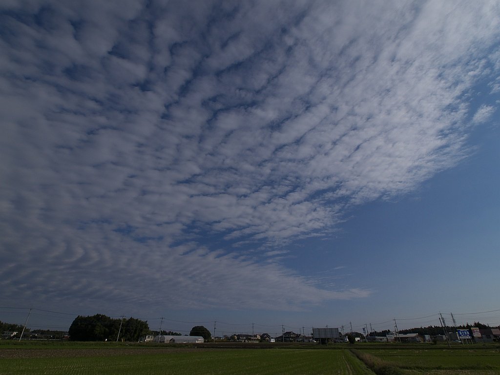 久しぶりに青空・・・
