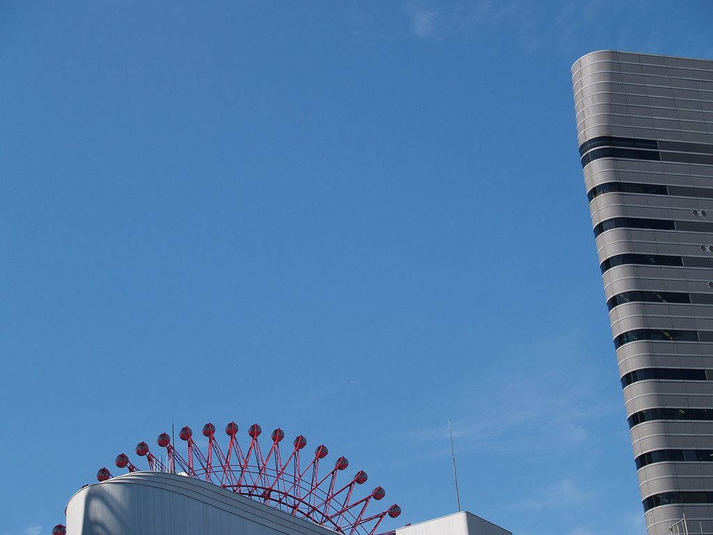 蒼い空を求めて