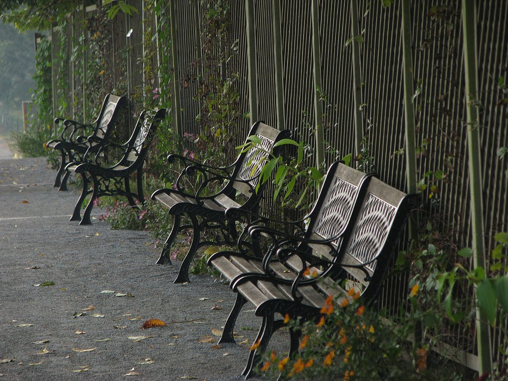 雨上がりのベンチ