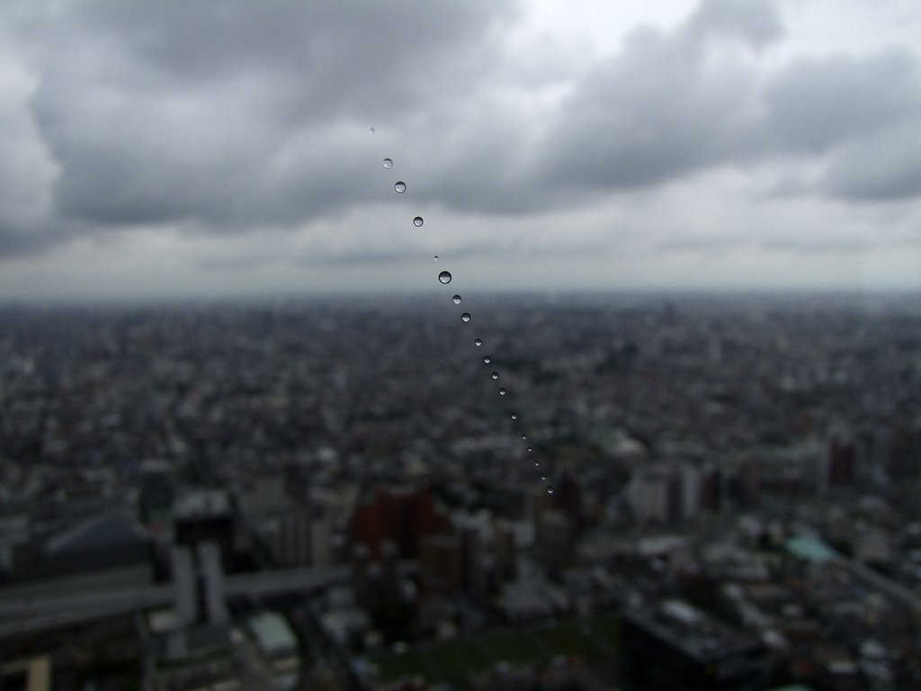 雨が降ってきた！