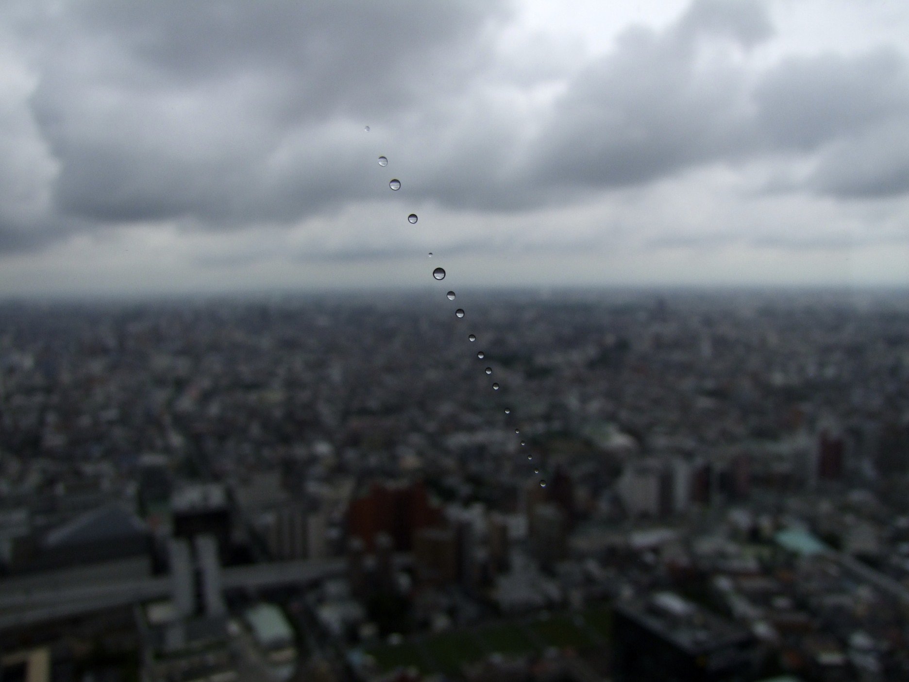 雨が降ってきた！