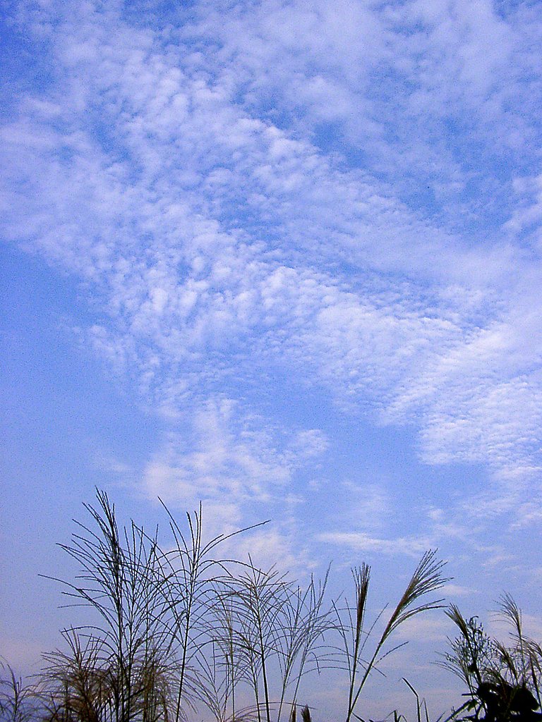 ◆秋の夕暮れ-７