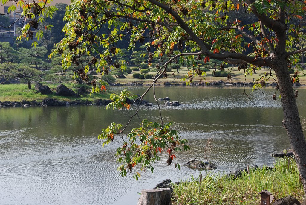 庭園の秋