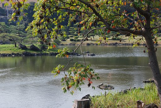 庭園の秋