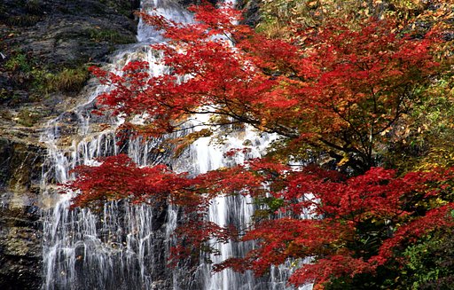 唐沢の滝