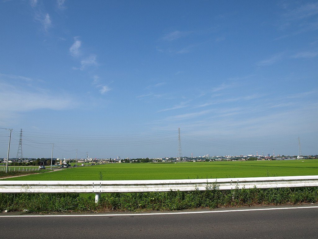 久しぶりに青空が・・・