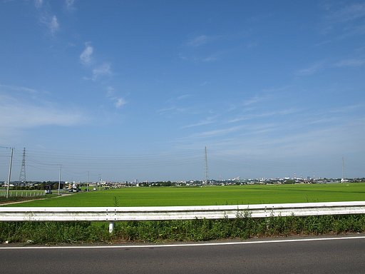 久しぶりに青空が・・・