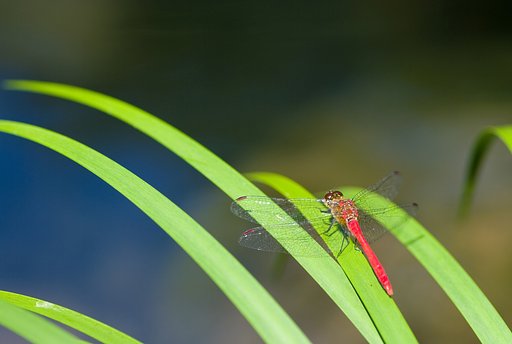 不老ヶ池の秋