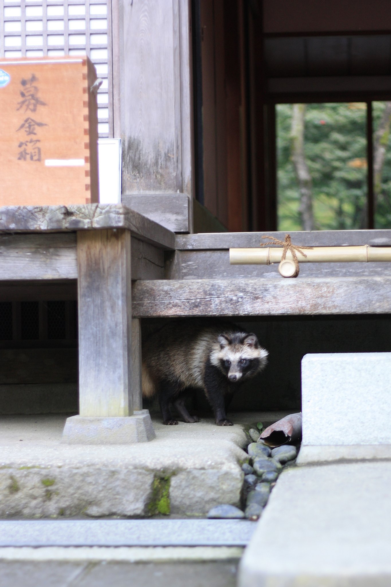 たんたん、、、