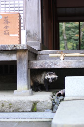 たんたん、、、