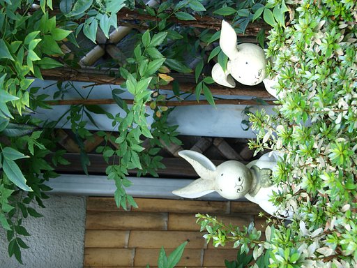 そばにいるね