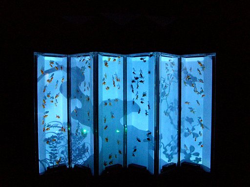 屏風を模した金魚水槽