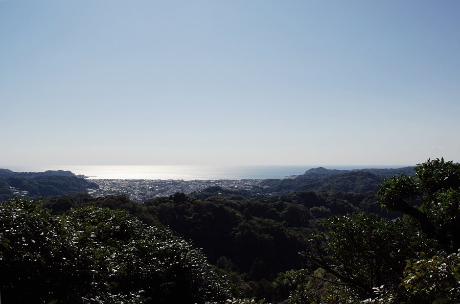 輝く海面