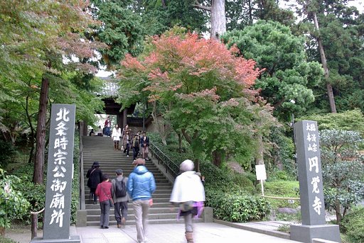 紅葉、はじまり