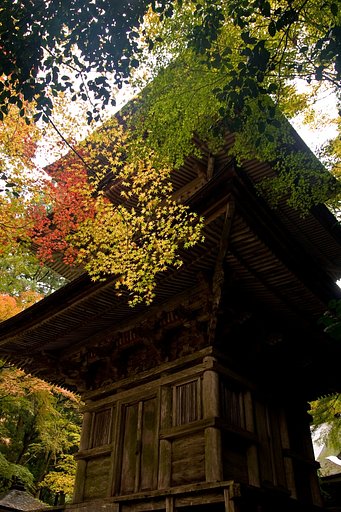 深秋の古寺