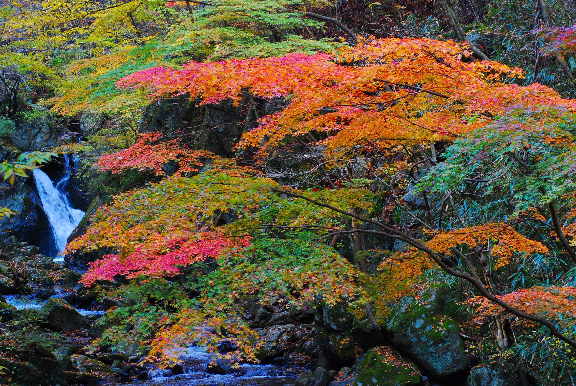 茨城県・花園渓谷
