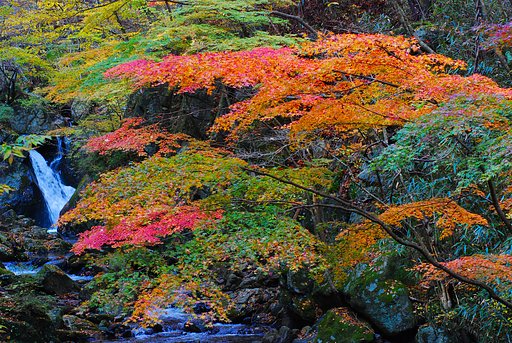 茨城県・花園渓谷