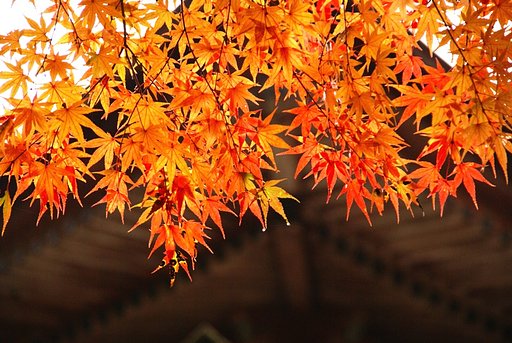 延暦寺
