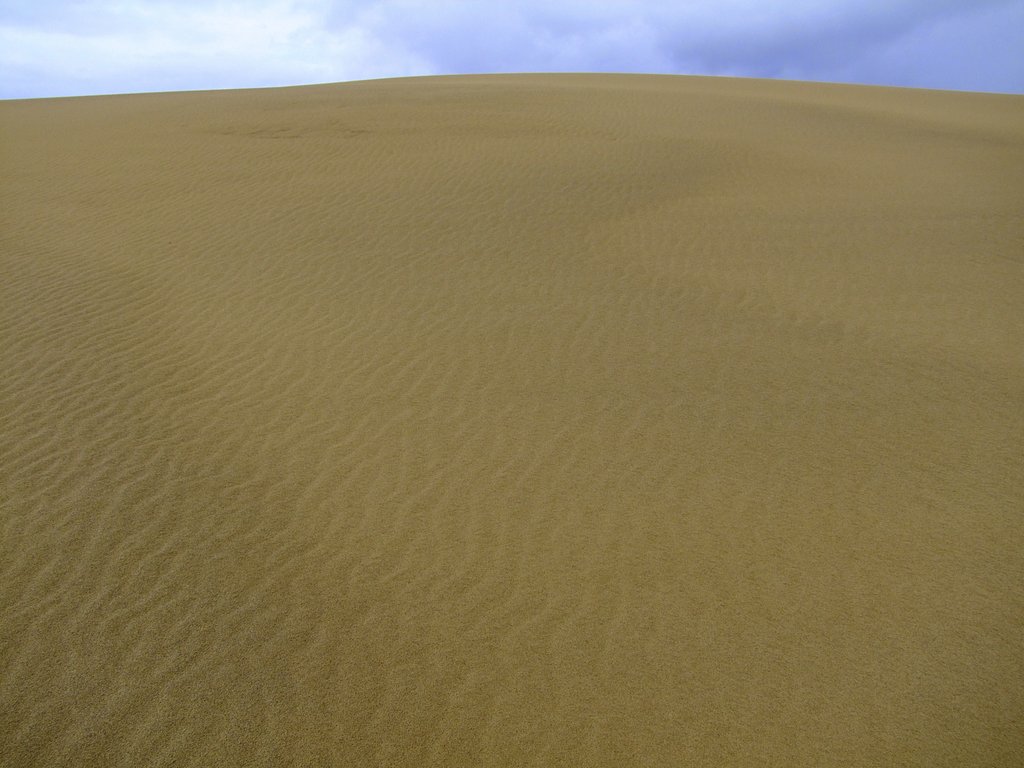 japanese sahara!!!