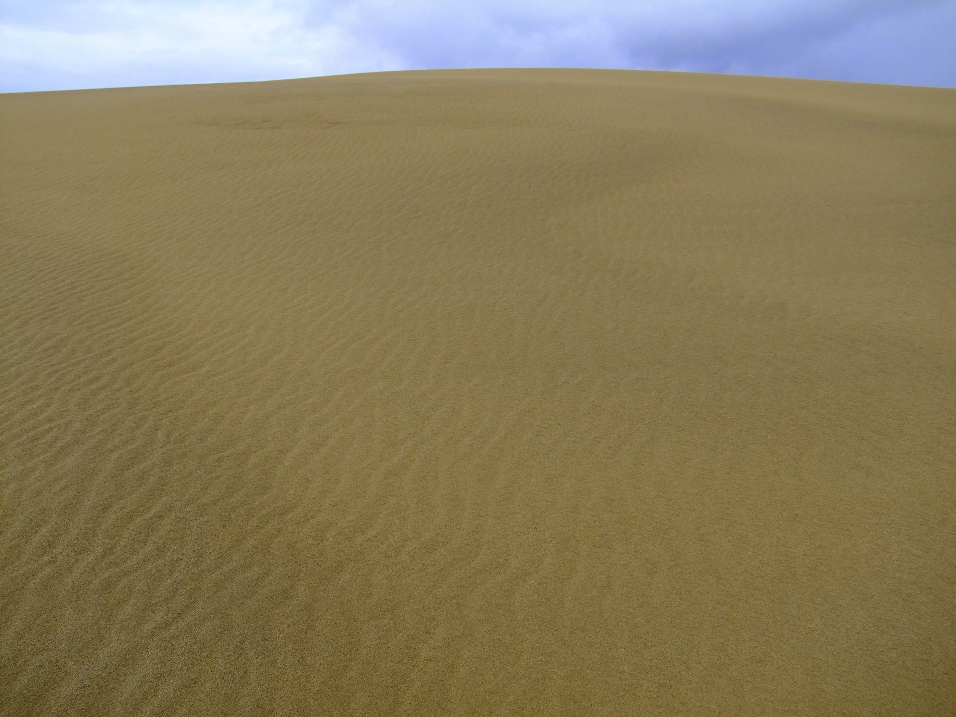 japanese sahara!!!