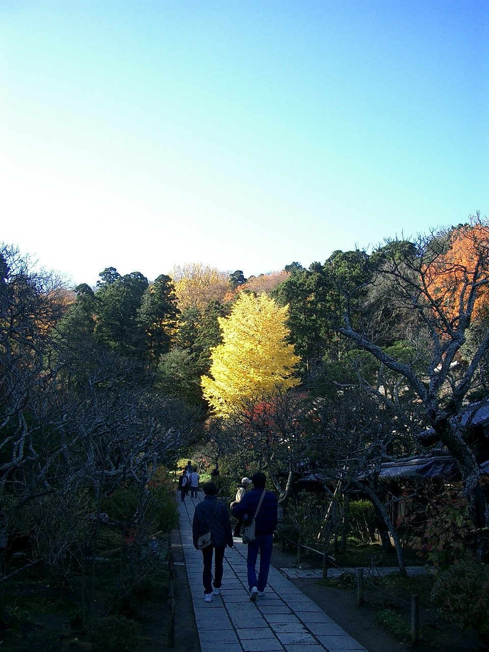 〜　いざ鎌倉（東慶寺-02）　〜