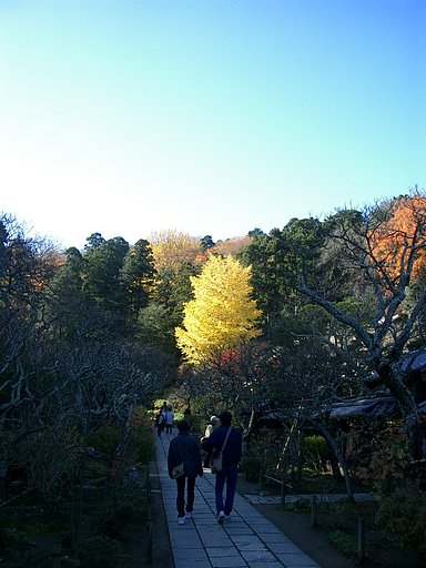 〜　いざ鎌倉（東慶寺-02）　〜