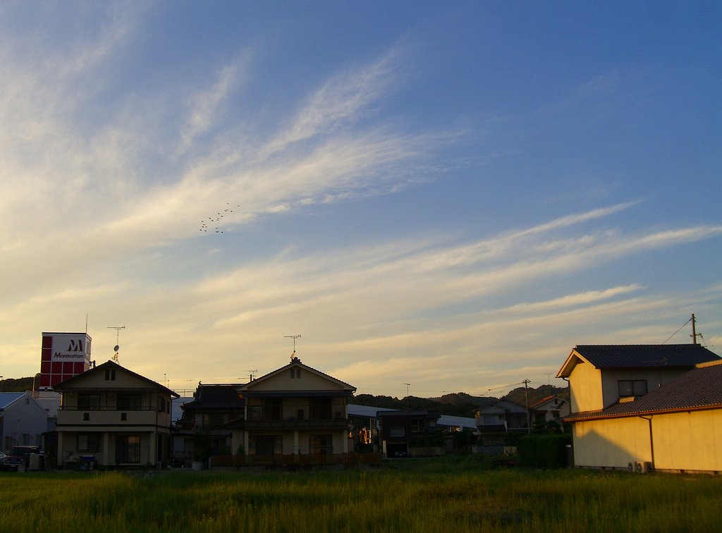夕日