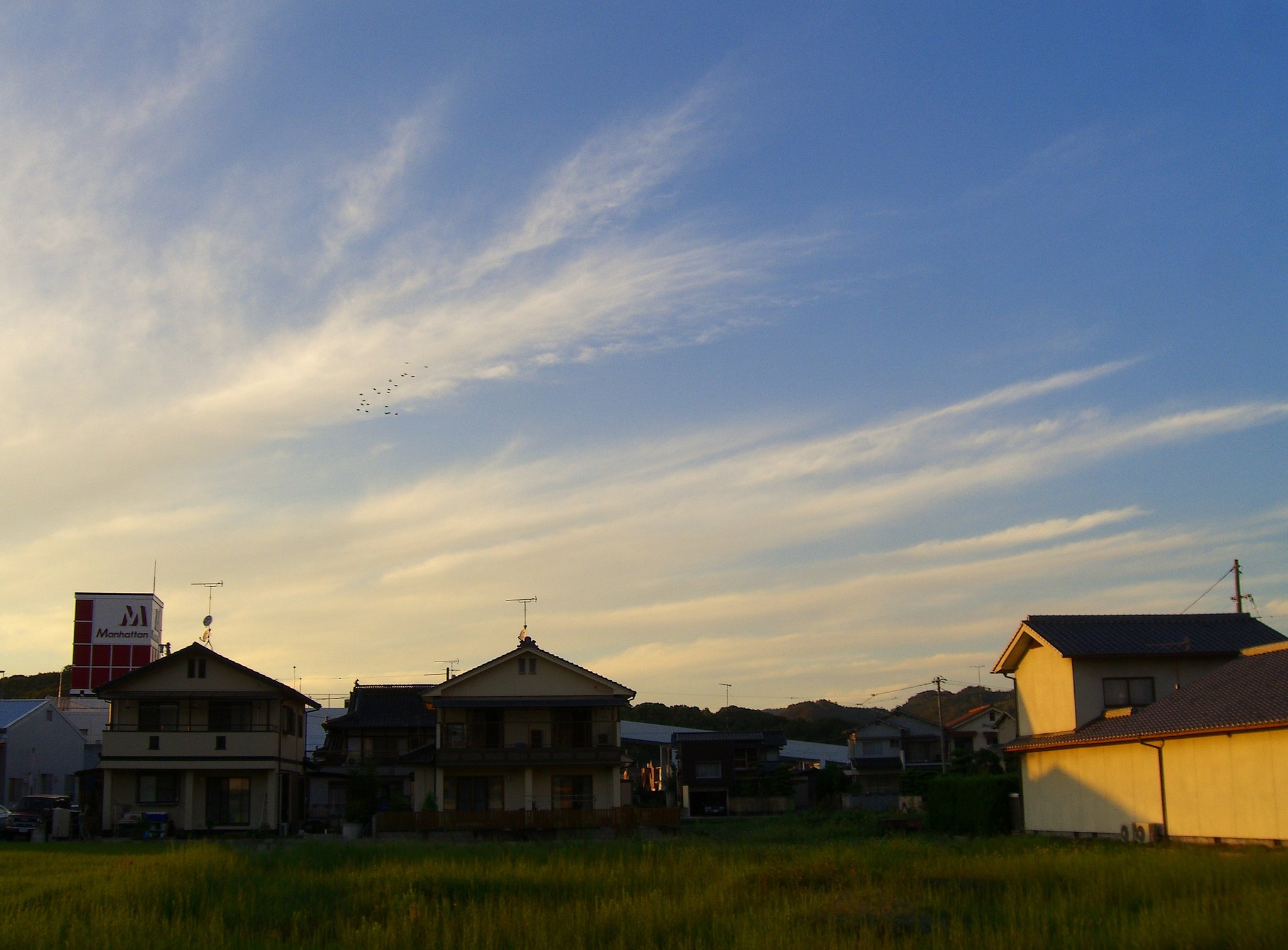 夕日