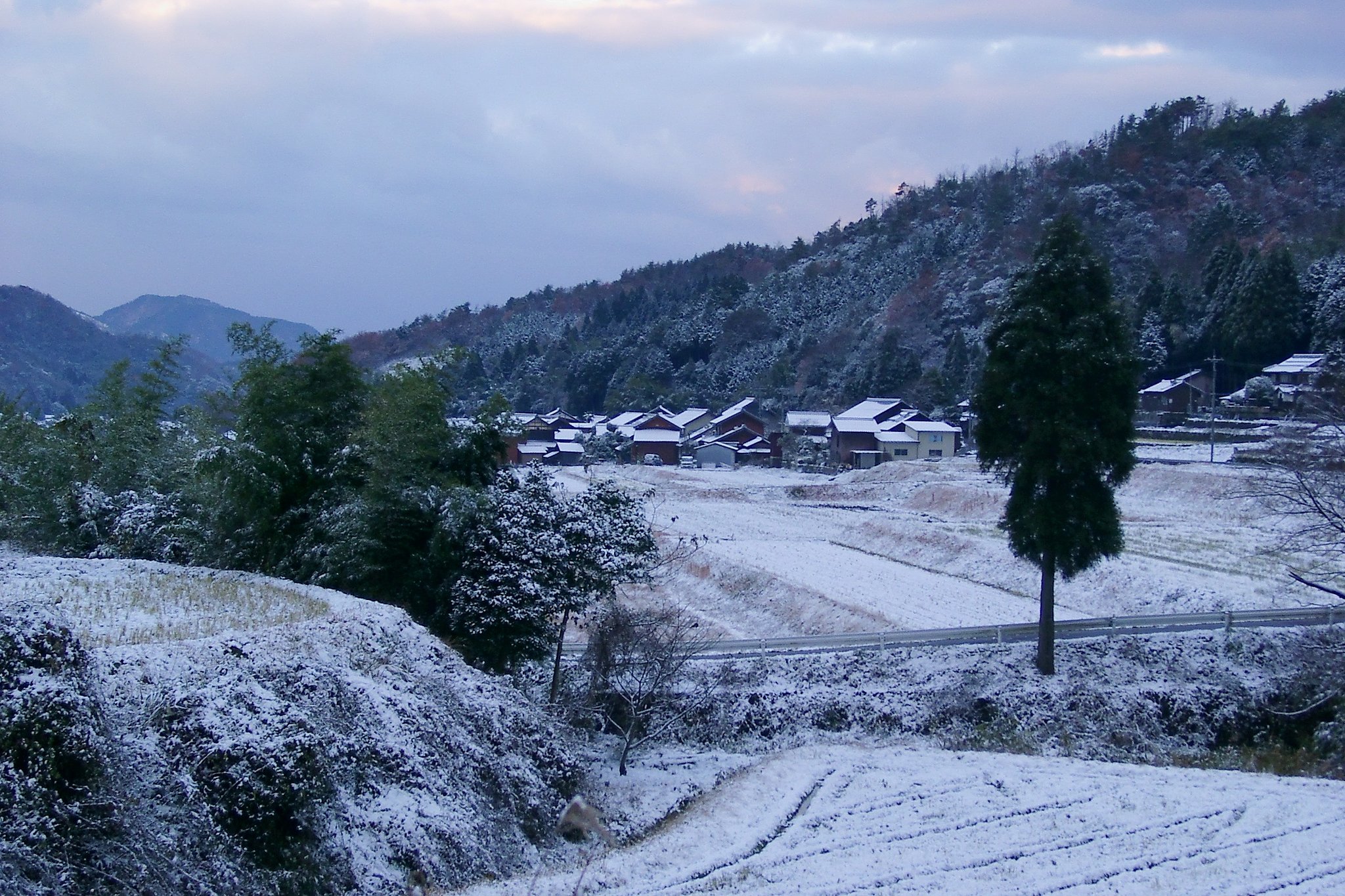 山里に雪が！