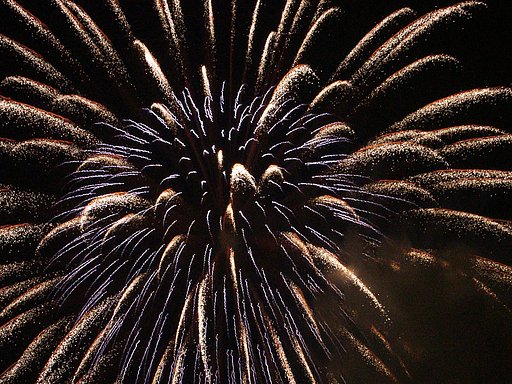 ★夏の夜の夢花火-58 青梅⑪