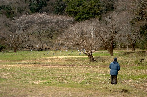 春の野を撮る