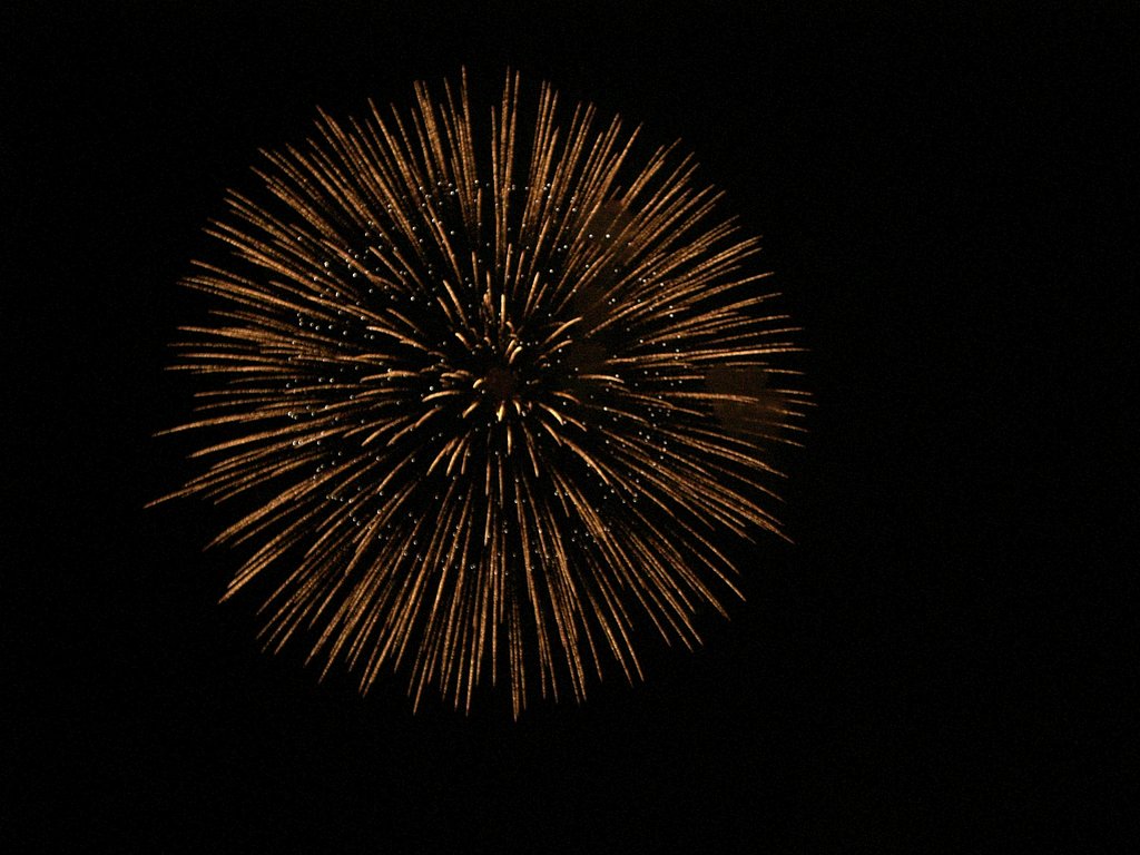冬花火